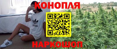 винт Донецк