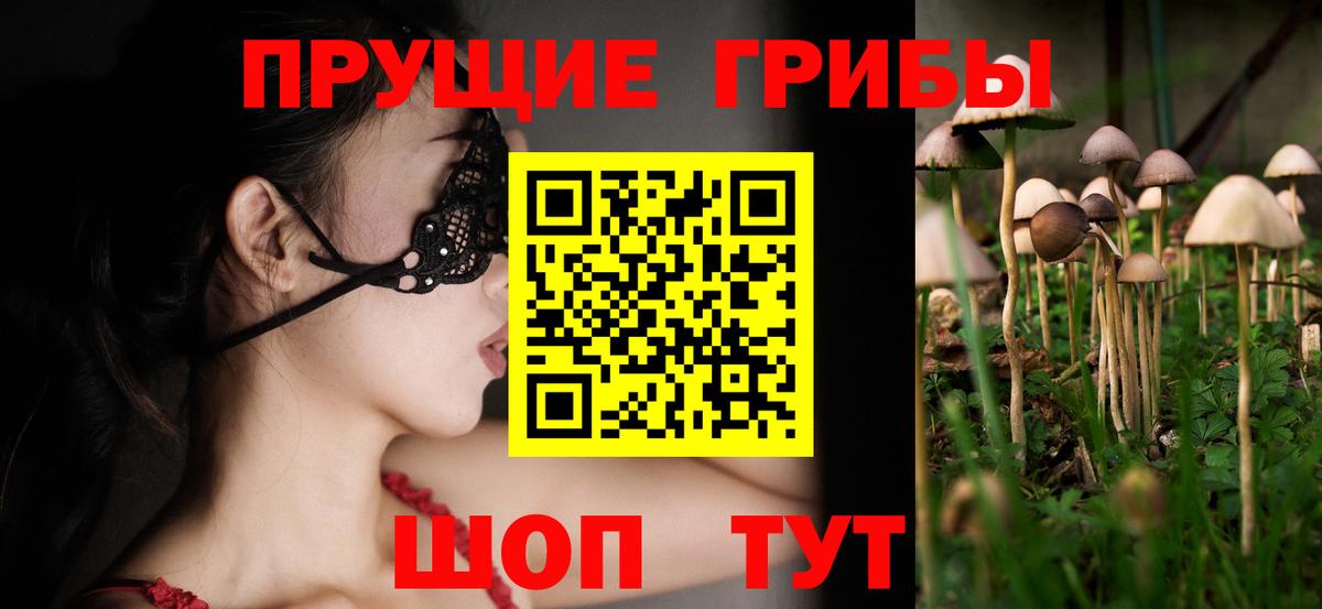 Псилоцибиновые грибы мухоморы  Вход с VPN  Междуреченск 
